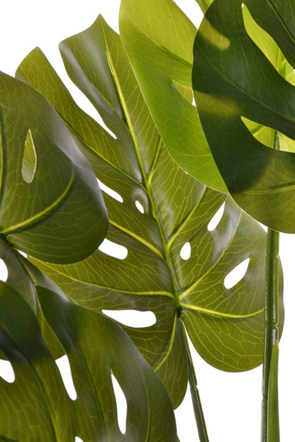 26.5&quot; Monstera Plant (Green)