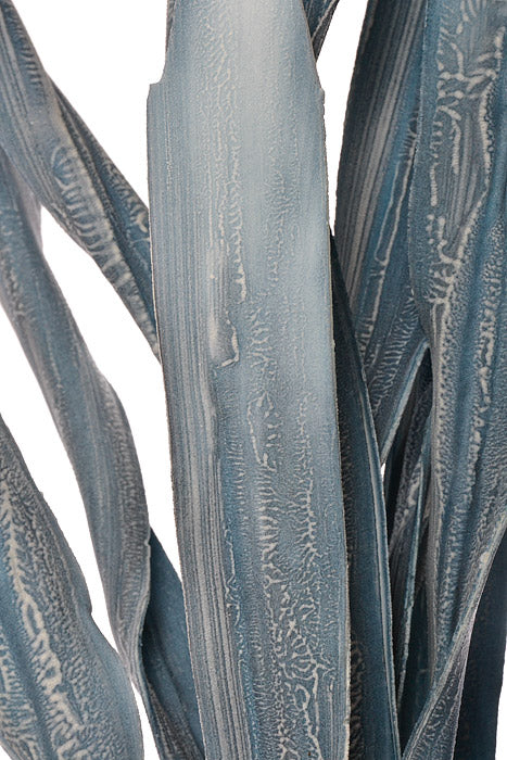 45" Foam Sea Kelp Spray Blue