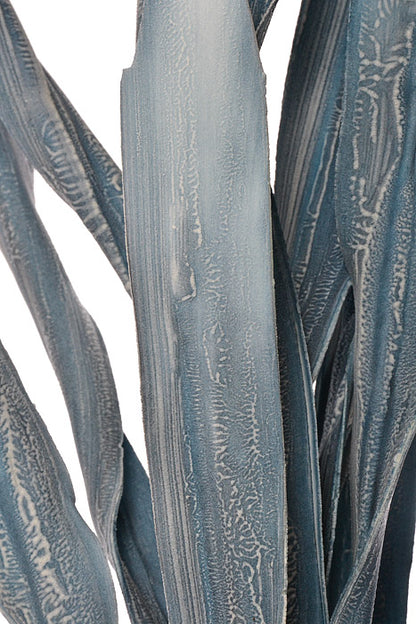 45" Foam Sea Kelp Spray Blue