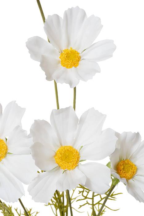 36" Silk Cosmos Spray White