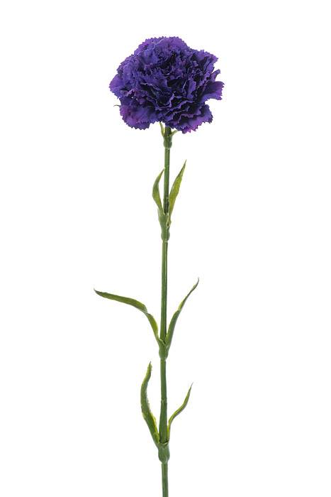 21.5" Silk Carnation Spray Plum