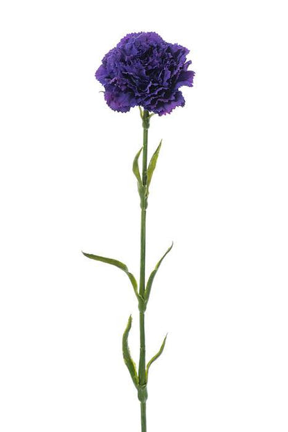 21.5" Silk Carnation Spray Plum