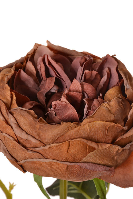 28.5" Silk Cottage Rose Spray Dark Mauve