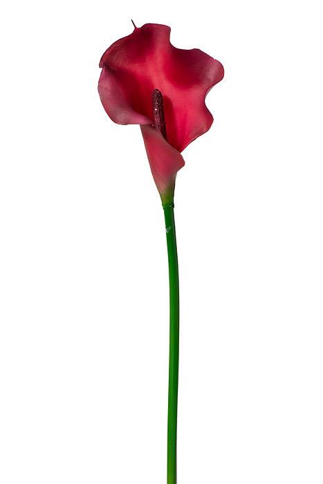 21" Calla Lily Stem Beauty
