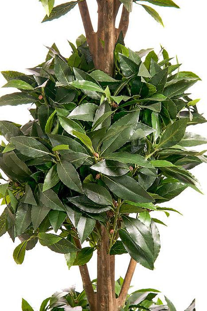 5ft Sweet Bay-leaf Topiary Triple Ball Tree Green