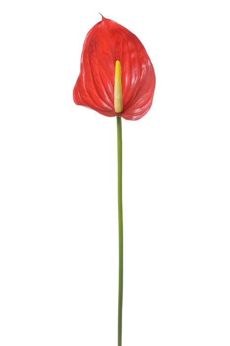 29" Faux Anthurium Red