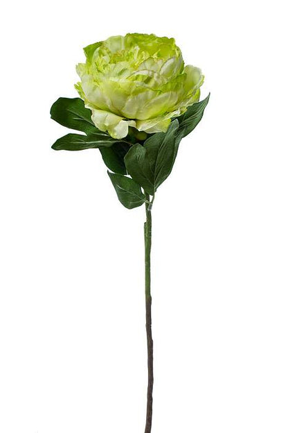 29" Silk Peony Stem Green