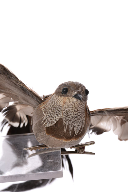7.25" Bird With Clip Brown
