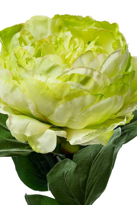 29" Silk Peony Stem Green