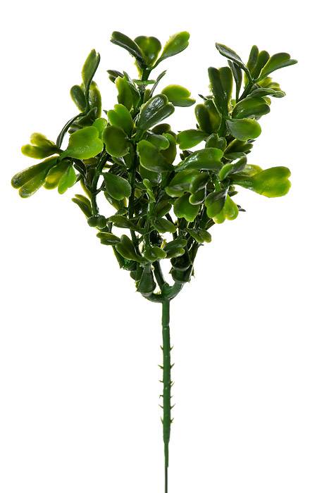 7" Boxwood Pick Green Pkg/12