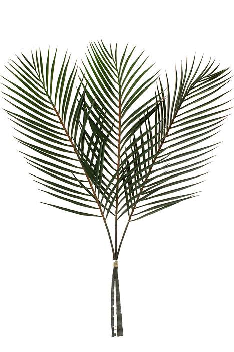 40" Palm Leaf Bundle Green Pkg/3