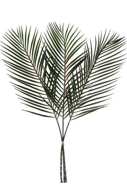 40" Palm Leaf Bundle Green Pkg/3