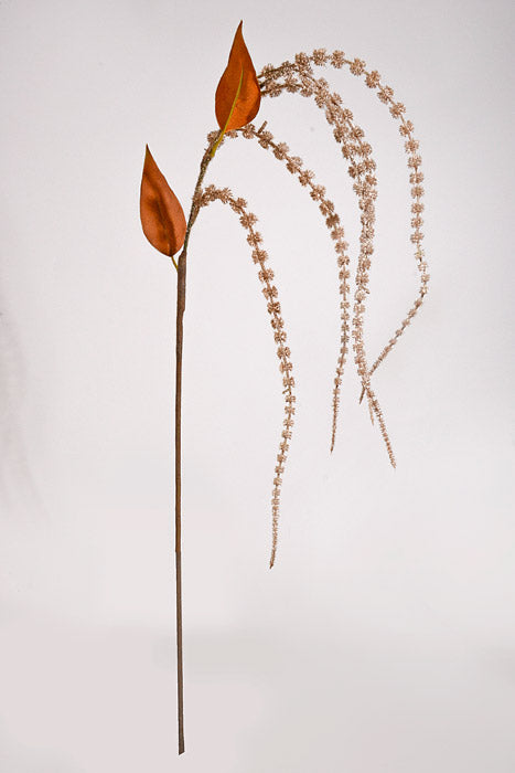 29" Amaranthus Stem Brown