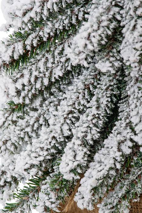 19" Snow Mini Pine Tree W/wood Stand