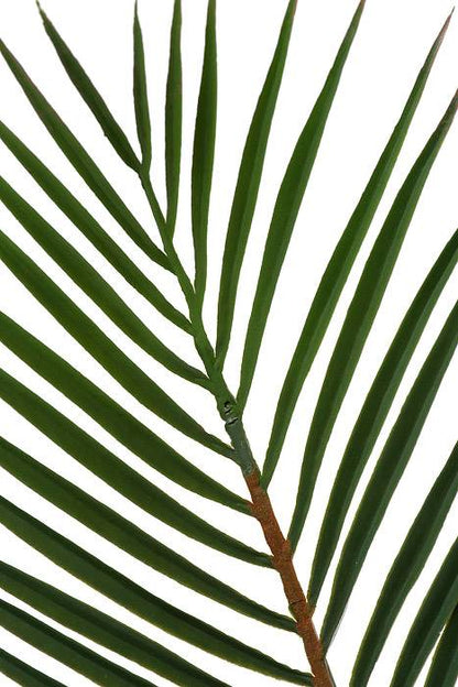 40" Palm Leaf Bundle Green Pkg/3