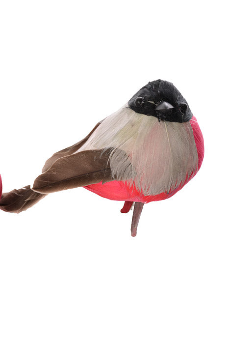 4" Bird With Clip Black/Red Set/2