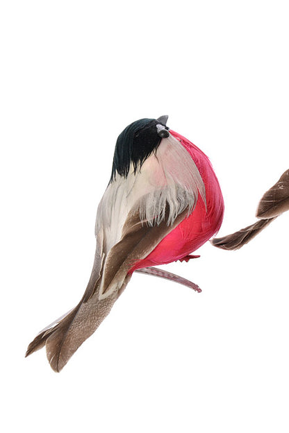 4" Bird With Clip Black/Red Set/2