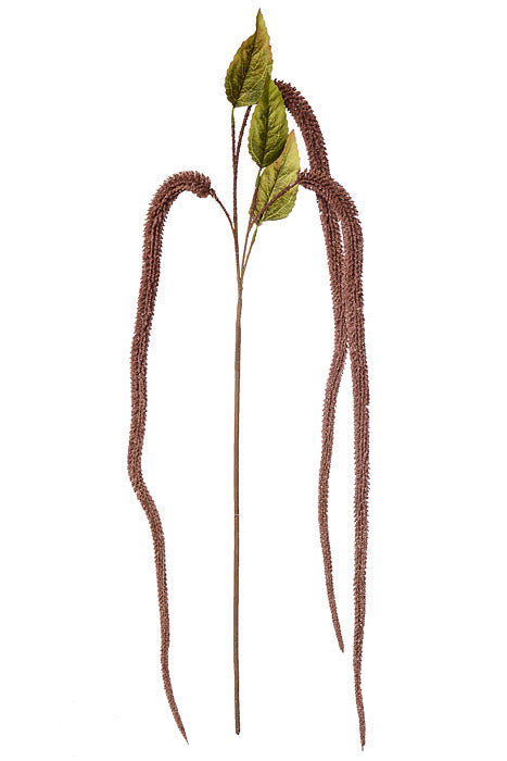 64" Foxtail Stem  Burgundy