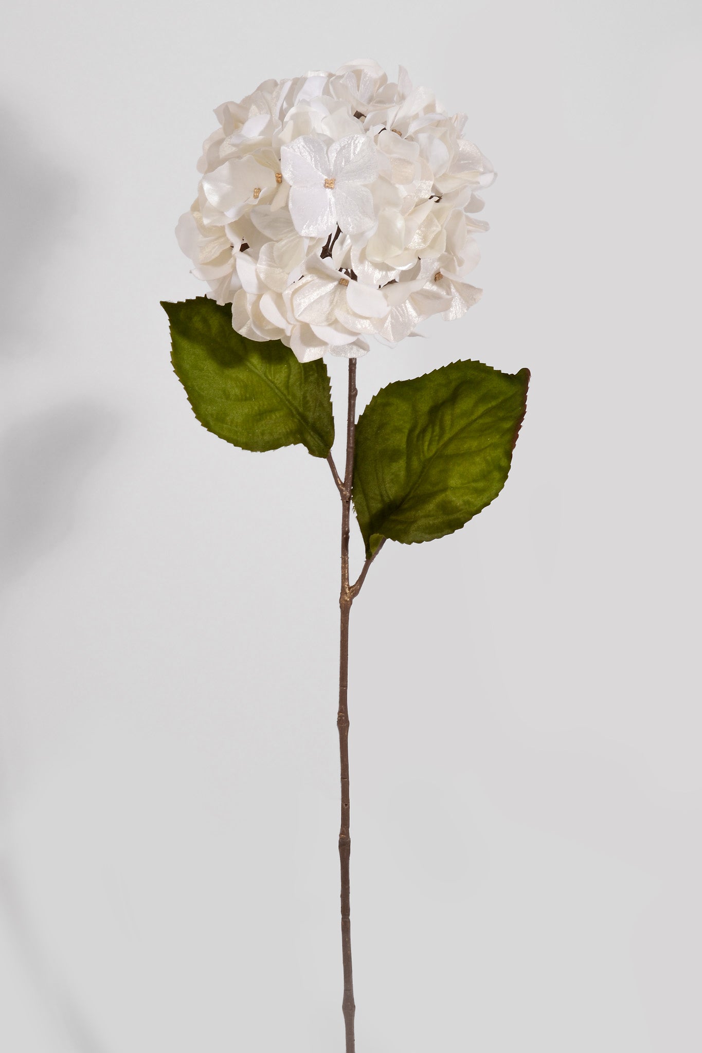 29" Shimmer Velvet Hydrangea Spray Cream