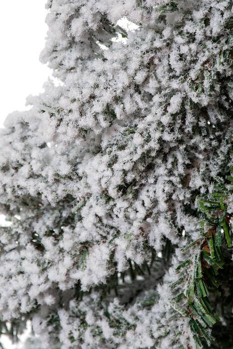 24" Snow Mini Pine Tree W/wood Stand