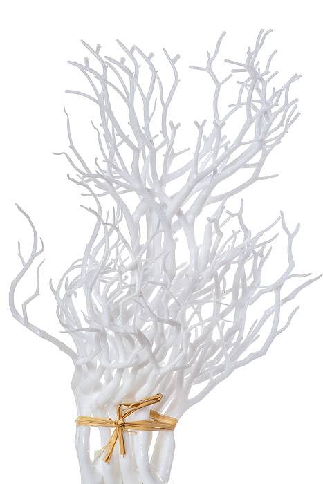 14&quot; Manzanita Pick White Pkg/6