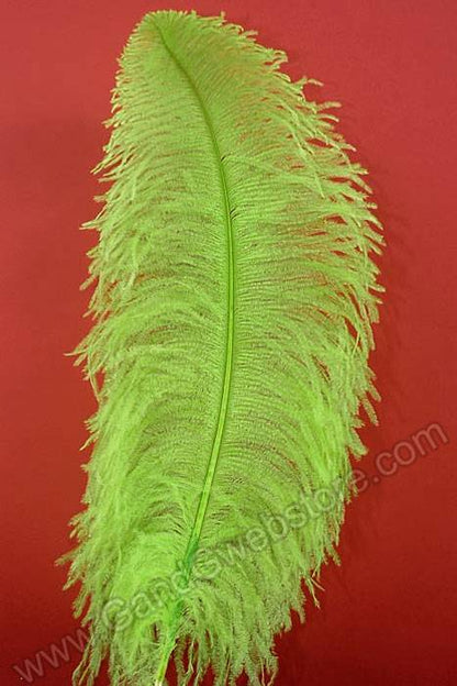 22"-26" Ostrich Plum Lime Pkg/6
