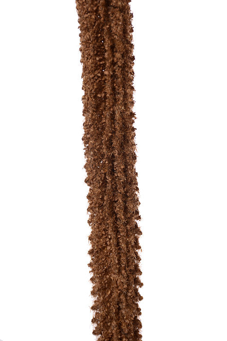 64" Foxtail Stem Brown