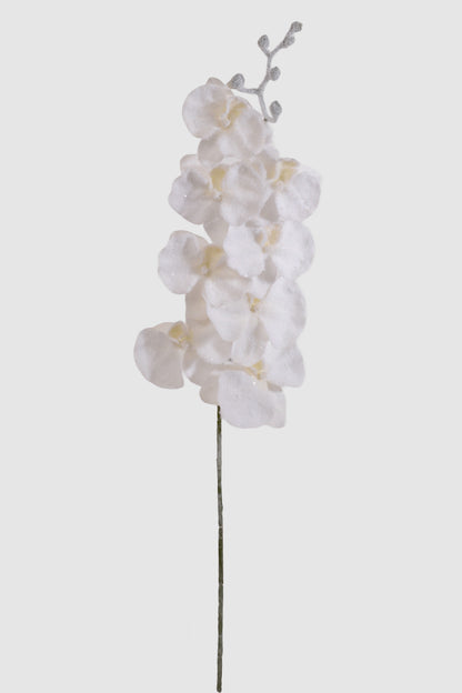 33" Snow Phalaenopsis Orchid Spray White