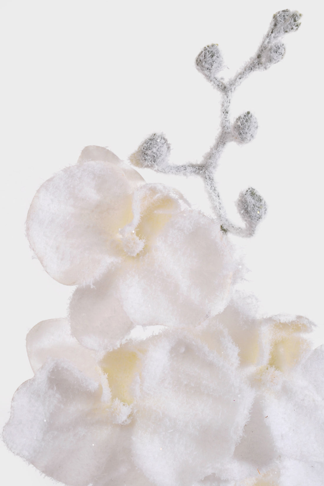 33" Snow Phalaenopsis Orchid Spray White