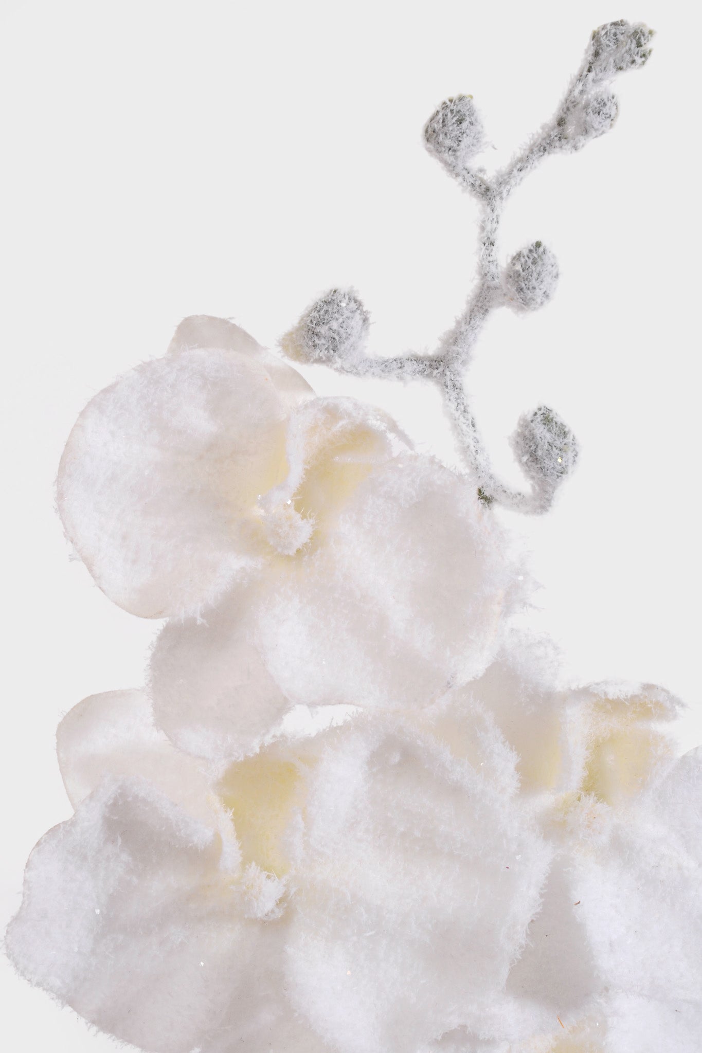 33" Snow Phalaenopsis Orchid Spray White