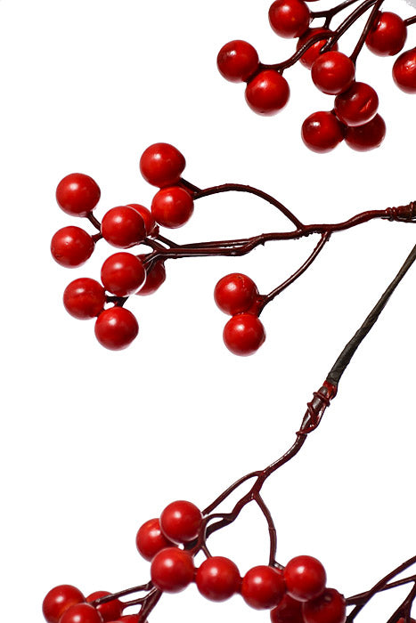 64" Water Proof Berry Garland Red
