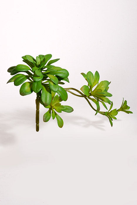 11.8" Artificial Soft Aeonium Pick Green