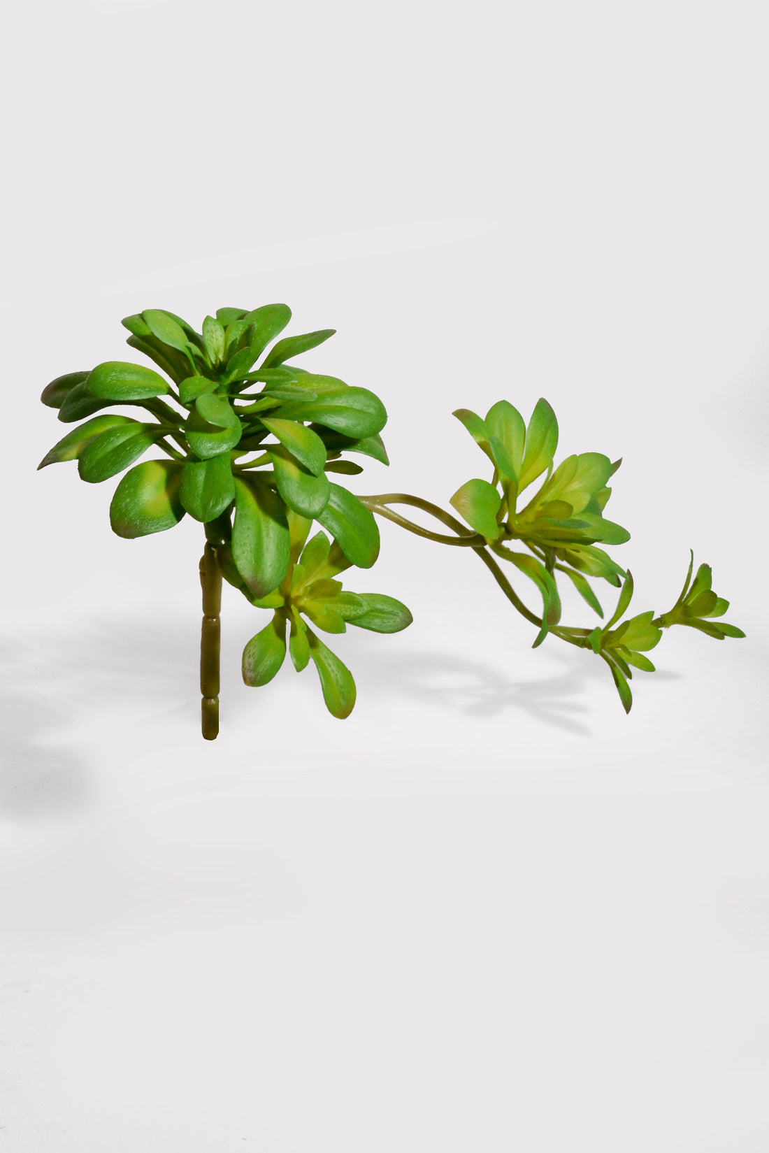 11.8" Artificial Soft Aeonium Pick Green