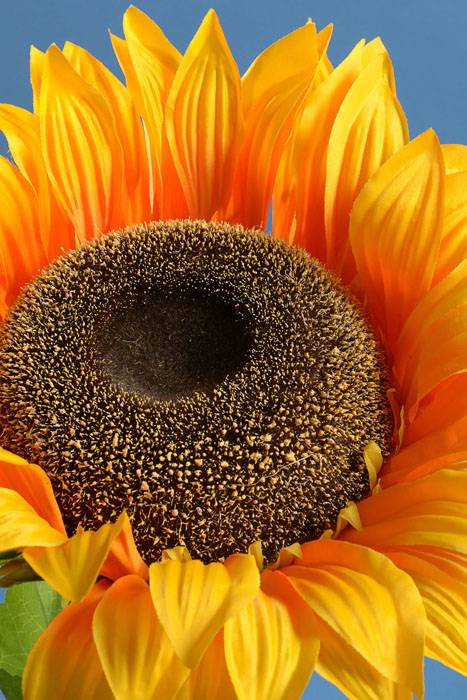 57" Giant Silk Sunflower Spray Yellow