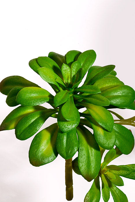 11.8" Artificial Soft Aeonium Pick Green