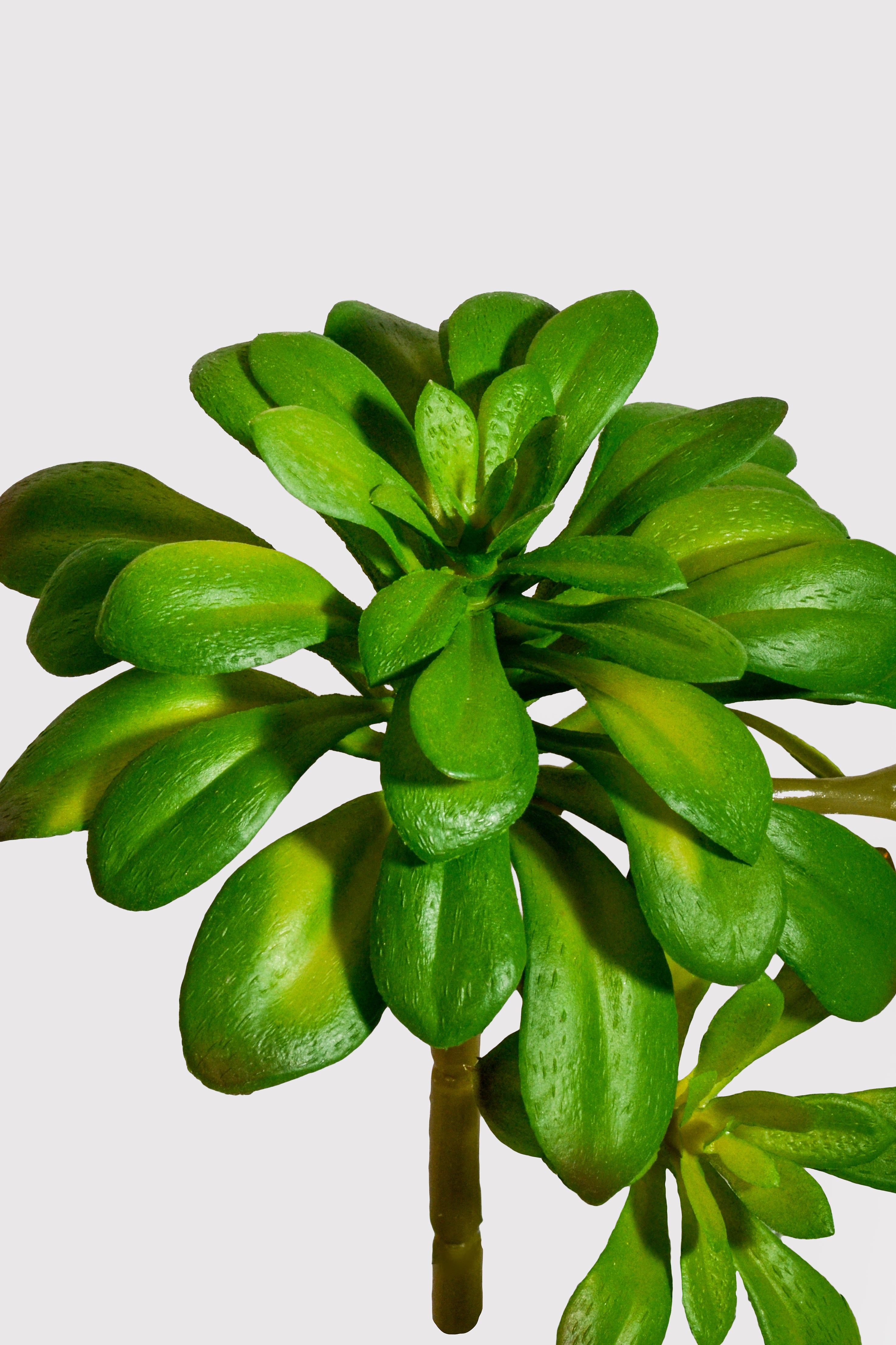 11.8" Artificial Soft Aeonium Pick Green