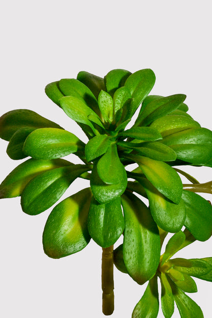 11.8" Artificial Soft Aeonium Pick Green
