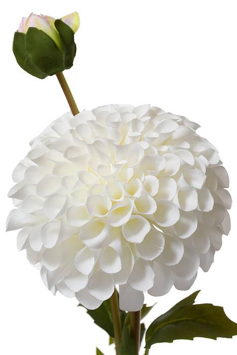 31" Silk Dahlia Spray White