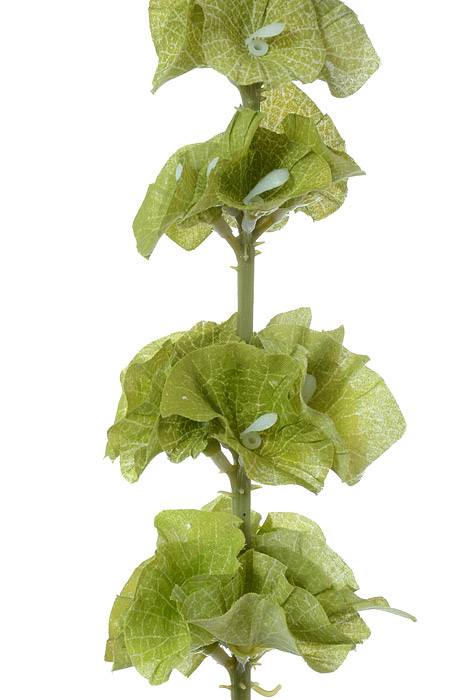 29" Silk Bells Of Ireland Green