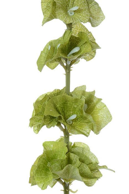 29" Silk Bells Of Ireland Green