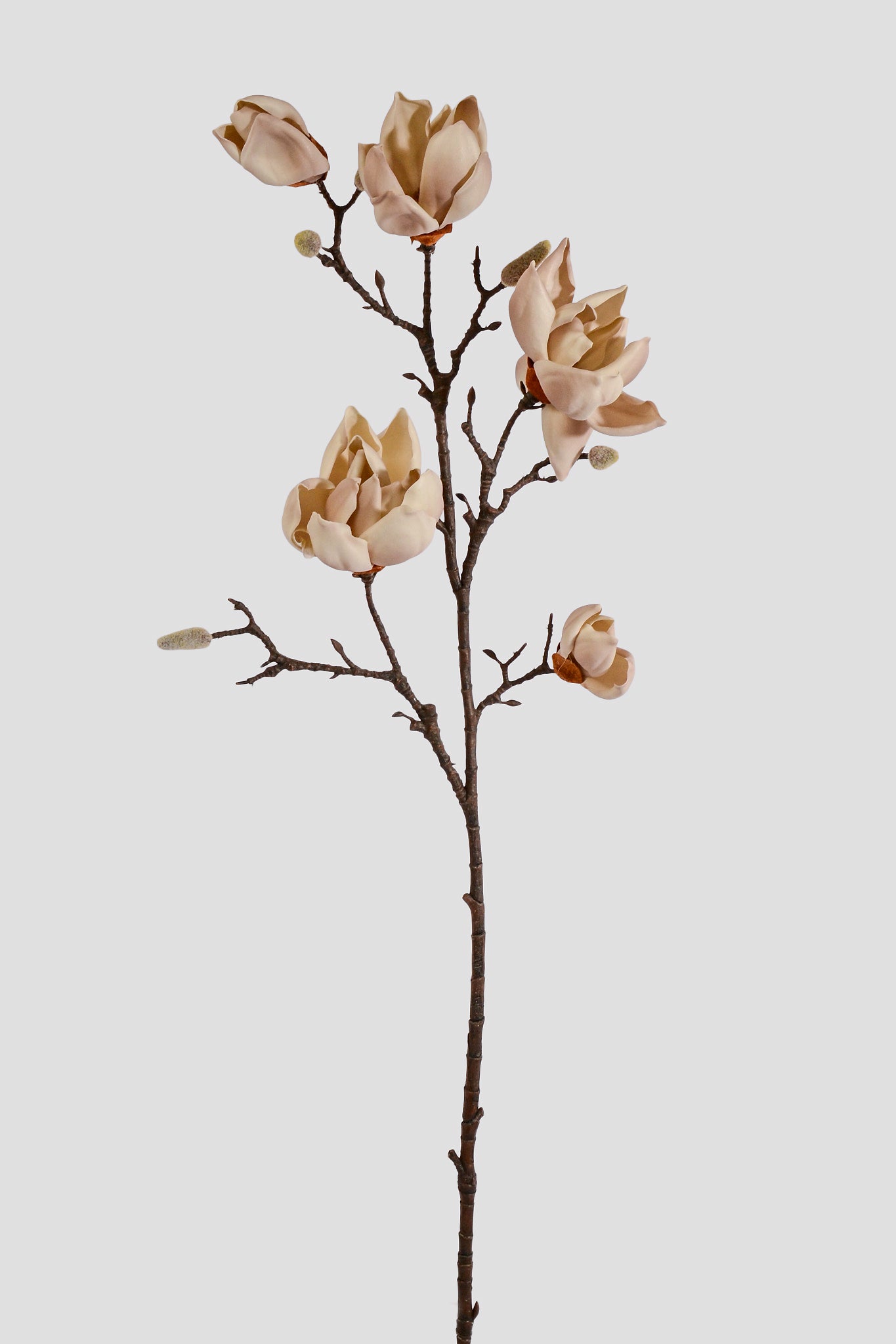 39.5" Foam Magnolia Spray Beige