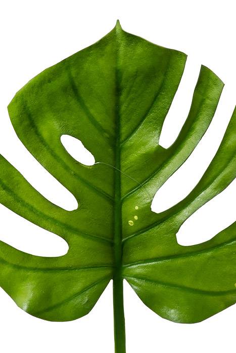 26" Split Philo Leaf Spray Green