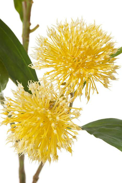 29" Silk Chi.sweet Gum Blossom Spray Yellow/cream