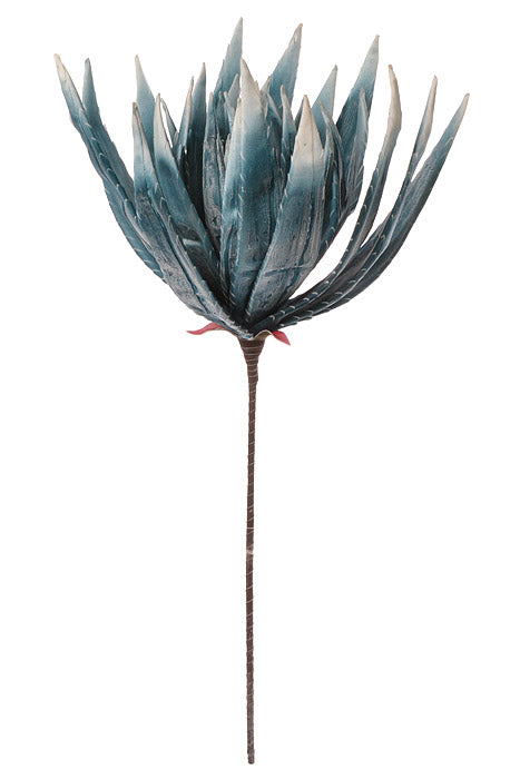 38" Foam Agave Stem (Blue/White)