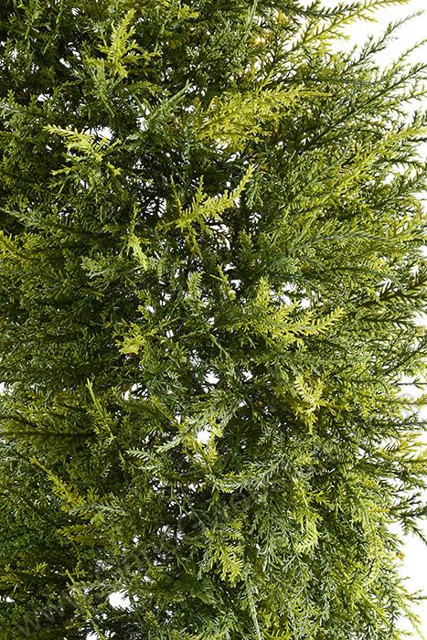 24" Cedar Wreath Green