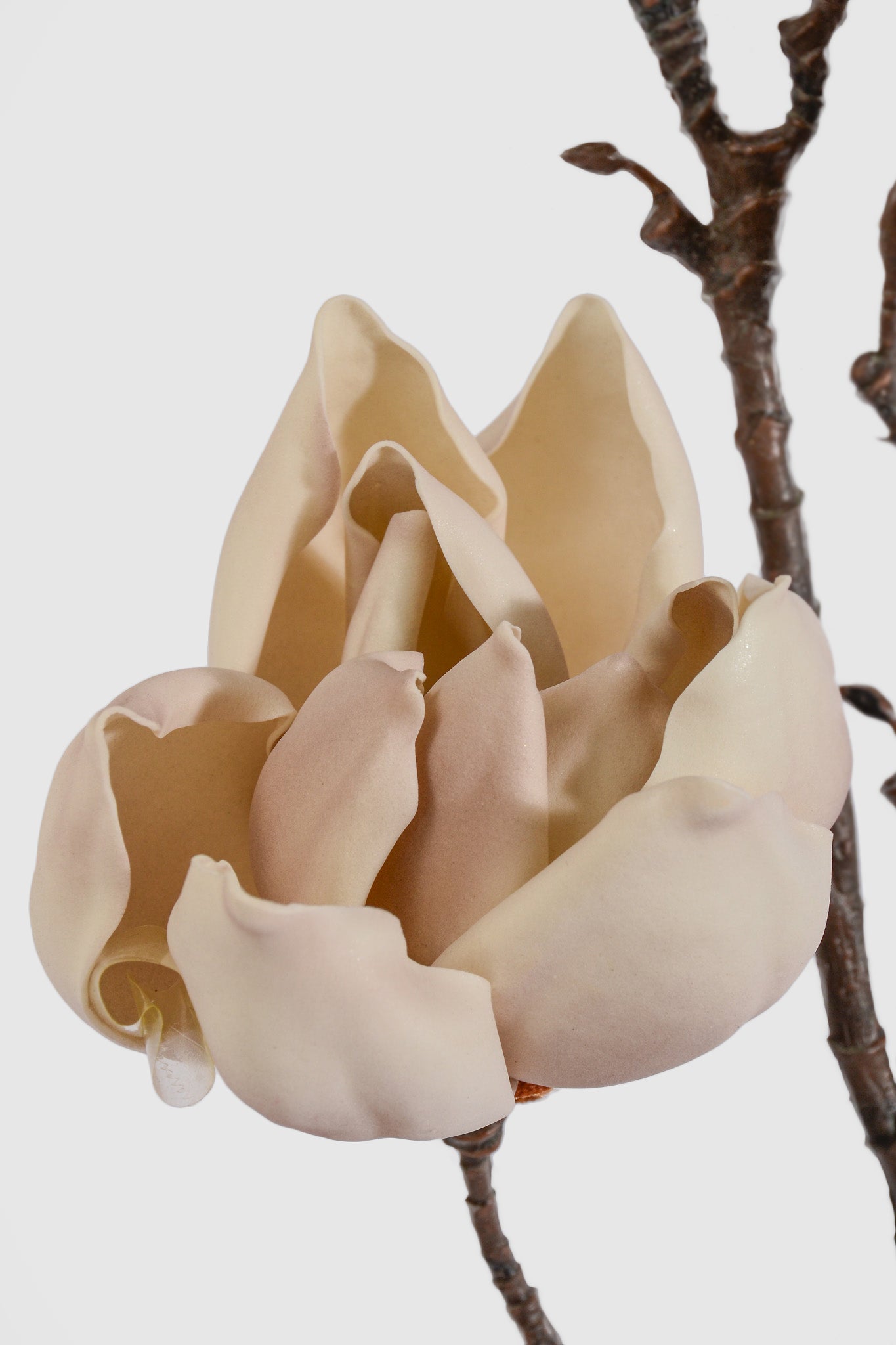 39.5" Foam Magnolia Spray Beige