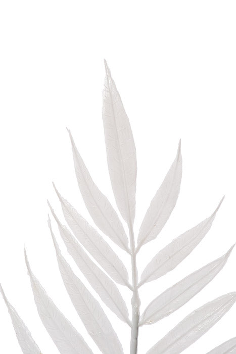 13" Emerald Fern White CS/144Pcs