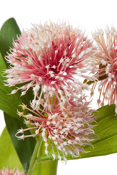 29" Silk Chi.sweet Gum Blossom Spray Pink/cream