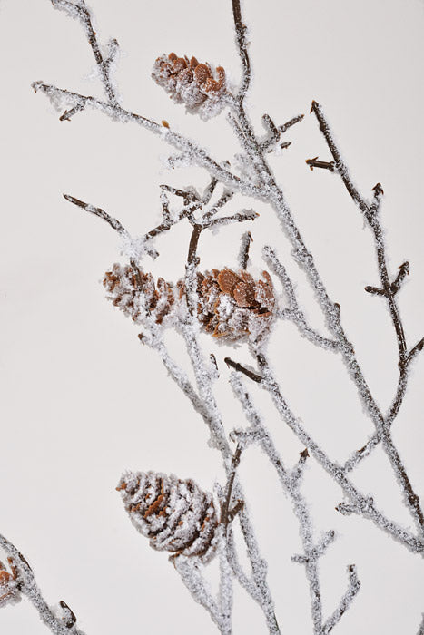 37" Snowy Twigs/Pinecones Stem Brown