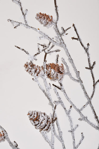 37" Snowy Twigs/Pinecones Stem Brown